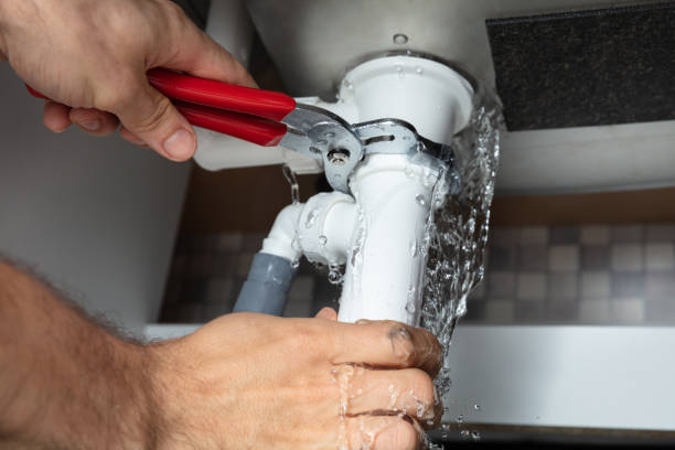Best Water damage restoration specialists  in Lumber City, GA