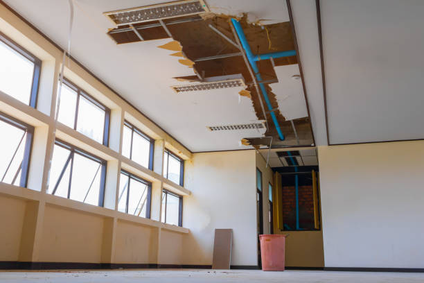 Best Water damage cleanup near me  in Lumber City, GA