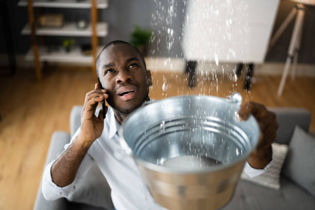 Best Mold removal after water damage  in Lumber City, GA