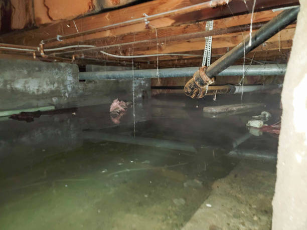 Lumber City, GA Water damage restoration Company