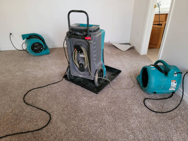 Best Water damage restoration process  in Lumber City, GA