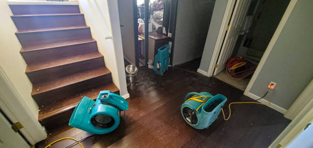 Best Ceiling water damage repair  in Lumber City, GA