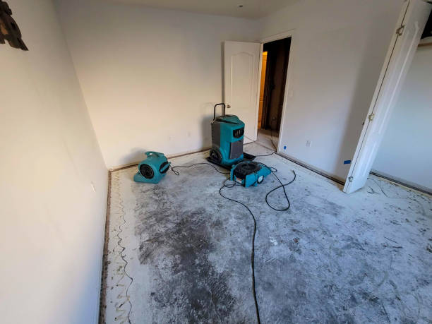 Best Carpet water damage restoration  in Lumber City, GA