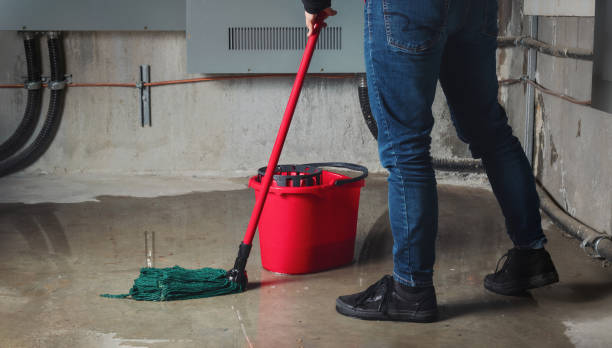 Best 24-hour water damage restoration  in Lumber City, GA