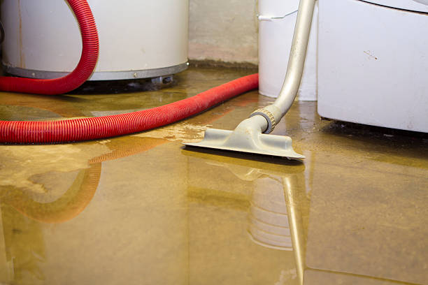 Best Fire Damage Restoration  in Lumber City, GA