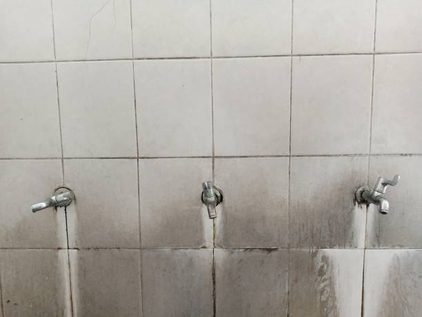 Best Flood damage cleanup  in Lumber City, GA