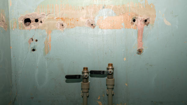 Best Water damage restoration near me  in Lumber City, GA