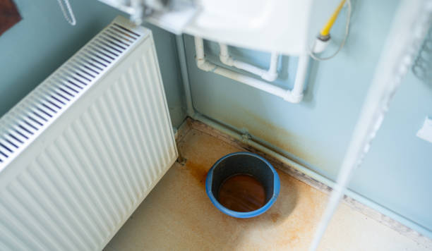 Best Sewage cleanup and water damage restoration  in Lumber City, GA