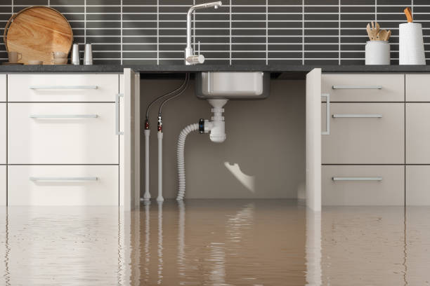 Best Flood restoration services  in Lumber City, GA