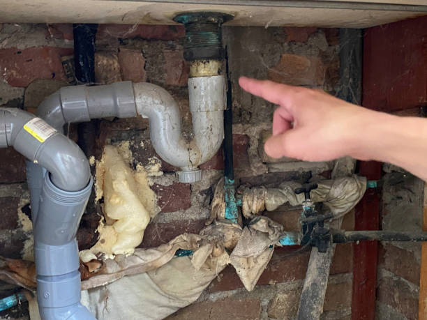 Best Professional water damage repair  in Lumber City, GA