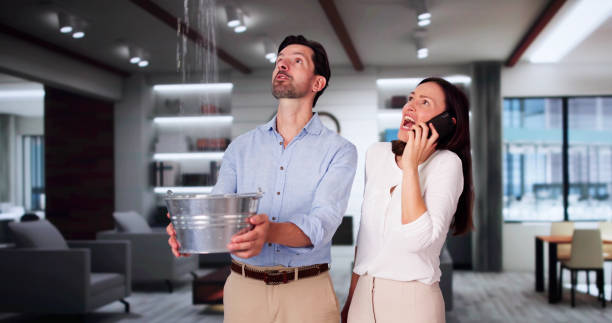 Best Water damage restoration near me  in Lumber City, GA